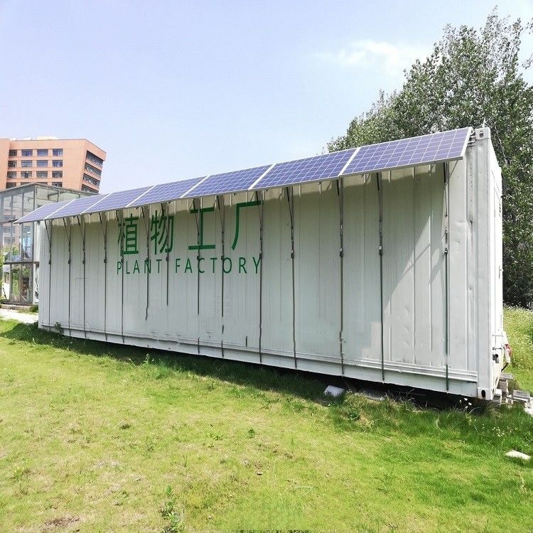 Pojemnik Rodzaj maszyny do zielonej paszy Hydroponic Commercial Sprouting Machine